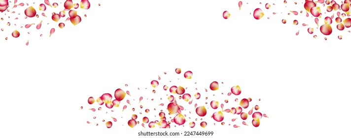 Beautiful Peach Beauty Vector Panoramic White Background. Blur Flower Texture. Red Sakura Summer Design. Pink Blossom Fly Poster.