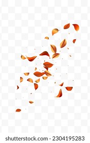 Hermoso Vector Blur Peach Fondo Transparente. Tejido de cerezo. Plantilla De Caída De La Rosa Roja. Delicado telón de fondo japonés Petal.