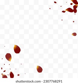 Beautiful Peach Blur Vector Transparent Background. Beauty Lotus Frame. Delicate Sakura Falling Wallpaper. Burgundy Cherry Spring Backdrop.