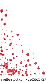 Hermoso Vector Japonés De Fondo Blanco. Fondo de escritorio japonés de florecimiento. Diseño De Vuelo Rosado Sakura. Patrón De Caída De Flores Rojas.
