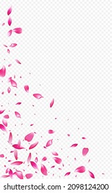 Beautiful Peach Japanese Vector Transparent Background. Flying Blossom Cover. Delicate Petal Blur Template. Red Flower Fall Banner.