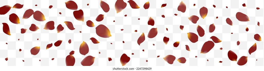 Beautiful Peach Japanese Vector Transparent Panoramic Background. Fly Blossom Banner. Burgundy Lotus Fall Pattern. Pink Cherry Summer Texture.