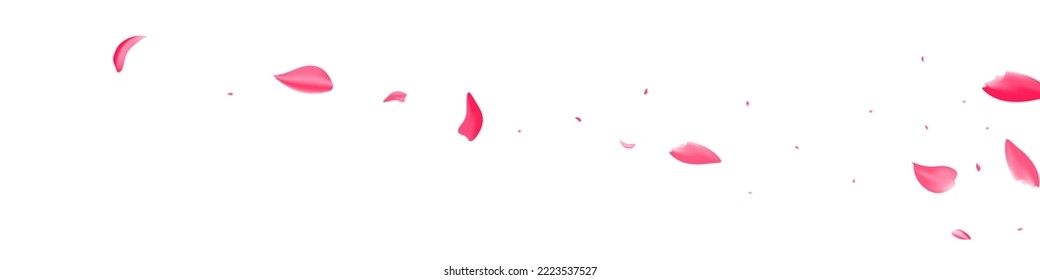 Beautiful Peach Spring Vector White Panoramic Background. Flying Floral Pattern. Delicate Blossom Japan Frame. Red Rose Blur Template.
