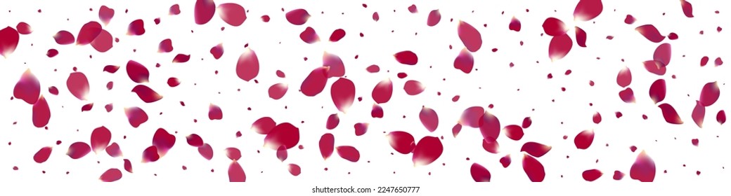 Beautiful Peach Tender Vector White Panoramic Background. Beauty Sakura Pattern. Delicate Floral Flying Template. Pink Cherry Falling Poster.