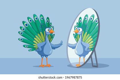 Beautiful Peacock Admiring Itself in the Mirror. Vain self-obsessed peafowl bird being proud and bragging about looks
