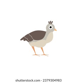 Beautiful peacock baby. Vector illustration of exotic peafowl kid isolated on white background. Cartoon cute brown bird child. Rustic chicken poult, small pheasant icon