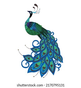 Schöne, realistische, farbige Vektorgrafiken von Peacock Bird