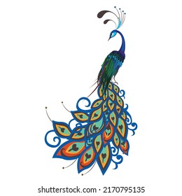 Beautiful Peacock Bird Realistic Colorful Vector Stock Vector (Royalty ...