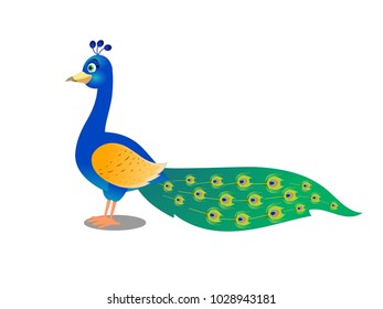 Beautiful Peacock - Cartoon Vector Image
