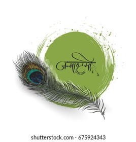 Beautiful peacock feather on white background, Hand Drawn Sketch Vector illustration.