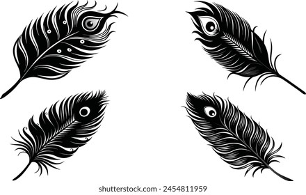 Beautiful Peacock Feather Vector Design.