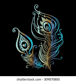 Beautiful peacock feathers  Hand Drawn vector illustration