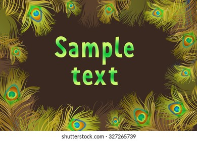 Beautiful peacock feathers with space for text