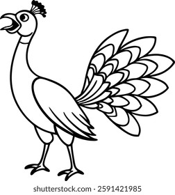 Beautiful  peacock  in front of white background  vector art illustration 