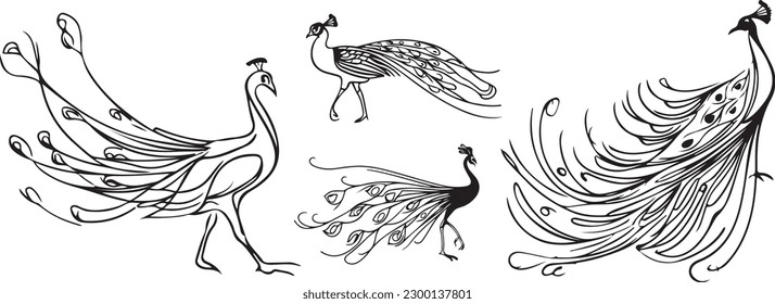 Beautiful Peacock Line art vector silhoutte