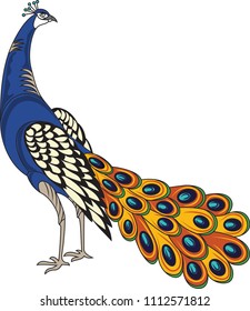 Beautiful Peacock motif