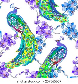 Beautiful peacock pattern. Tropical seamless pattern. Vector. Peacocks and orchid.