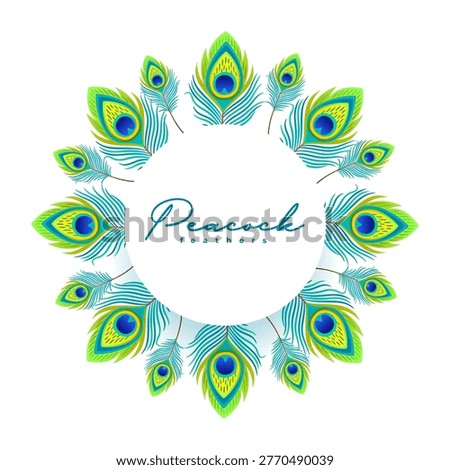 beautiful peacock plume feather frame background design vector