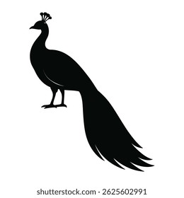 a beautiful peacock silhouette in black and white, an elegant bird design for your creative projects