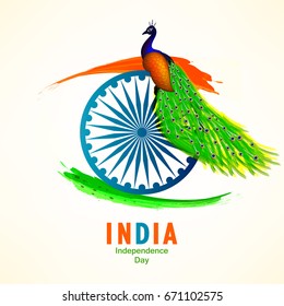 Beautiful Peacock sitting on Ashok Chakra with Tri Color grunge, Greeting Card design for India Independence Day. Vector Illustration 71 Indian Independence day vector illustration
