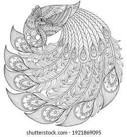 Hermoso Pavo Real.
Caricatura estilizada de Zentangle aislada sobre fondo blanco. 
Ilustración de boceto dibujada a mano para el libro de coloración para adultos. 
