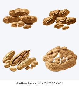 Beautiful Peanut in solid background, vector illustration