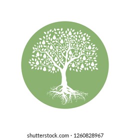 Beautiful Pear Tree, Logo Icon 