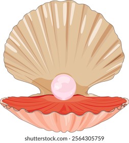 Beautiful Pearl Open Shell Seashell And Scallop Vector