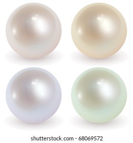 美しい真珠 リアルなベクターイラスト のベクター画像素材 ロイヤリティフリー Shutterstock