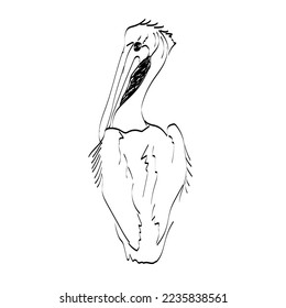 A beautiful pelican is standing, abstract style.