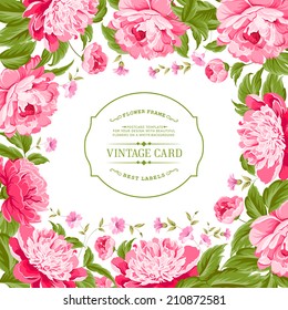 Beautiful peonies with bright frame. Vector illustration.
