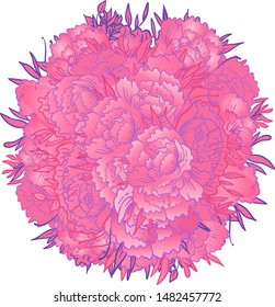 Beautiful peony  bouquet design on beige background. Hand drawn vector illustration.