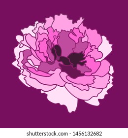 beautiful peony flat contour background colored