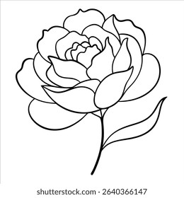 Beautiful peony flower illustrated using smooth continuous line art drawing style expressing elegance and simplicity perfect for nature and floral design projects