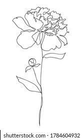 Beautiful peony flower. Line art concept design. Continuous line drawing. Stylized flower symbol. Vector illustration