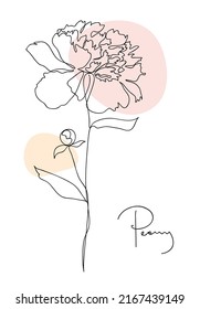 Beautiful peony flower. Line art concept design. Continuous line drawing. Stylized flower symbol. Vector illustration