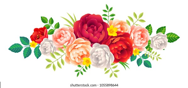 Beautiful peony flowers and leaves vector decoration floral element isolated on white background