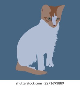 Beautiful pet cat-Vector Art Work.