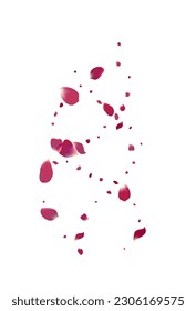 Beautiful Petal Beauty Vector White Background. Japanese Peach Pattern. Pink Blossom Fall Texture. Delicate Rose Tender Poster.