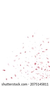 Beautiful Petal Falling Vector White Background. Tender Rose Texture. Red Lotus Fall Pattern. Pink Blossom Blur Template.