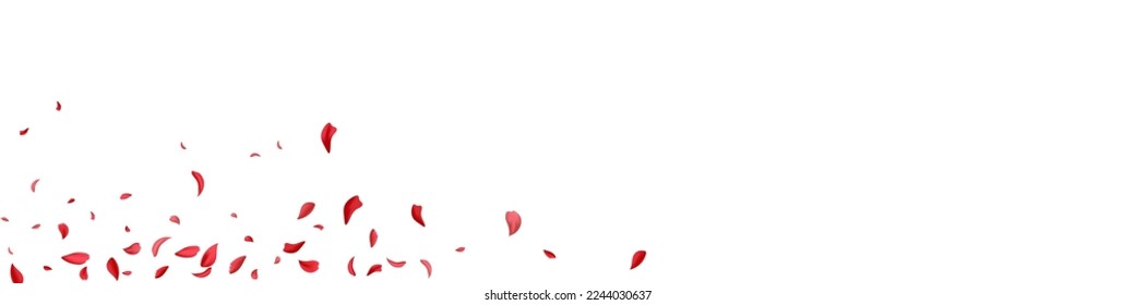 Hermoso Vector Petal Caer Fondo Panorámico Blanco. Summer Lotus Design. Fondo de escritorio japonés Sakura Rojo. Delicada Funda De Belleza De Peach.
