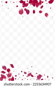 Beautiful Petal Fly Vector Transparent Background. Fall Peach Frame. Pink Blossom Spring Texture. Purple Floral Flying Pattern.