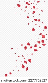 Beautiful Petal Fly Vector Transparent Background. Japan Cherry Design. Pink Peach Japanese Texture. Delicate Lotus Falling Template.
