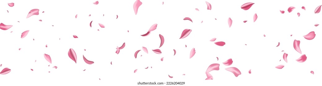 Beautiful Petal Fly Vector White Panoramic Background. Blur Blossom Cover. Delicate Floral Falling Texture. Red Lotus Summer Frame.