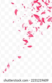 Beautiful Petal Flying Vector Transparent Background. Falling Rose Illustration. Delicate Cherry Blur Banner. Red Floral Fall Backdrop.