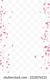 Beautiful Petal Japan Vector Transparent Background. Fly Flower Texture. Delicate Lotus Spring Design. Pink Rose Tender Frame.