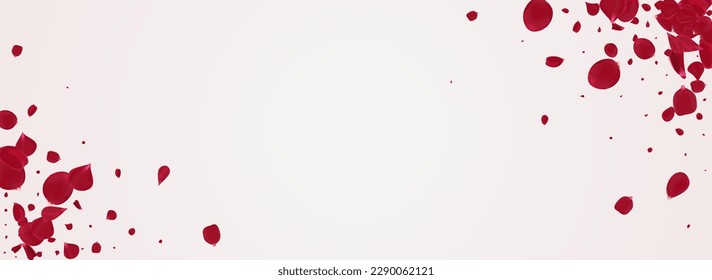 Hermoso Vector De Ternera Petal Fondo Panorámico Blanco. Papel de escritorio de la Engranaje Volador. Funda Delicada De Desenfoque Rosa. Cartel de la mosca rosa.