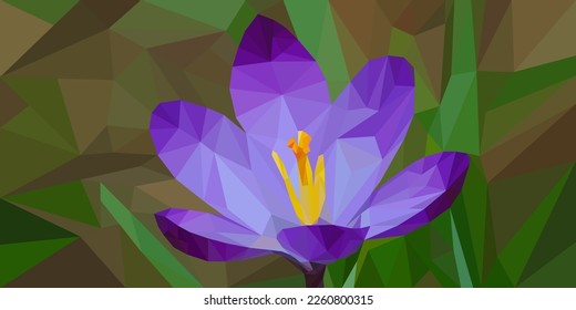 Beautiful pheolete Crocus flower in low poly style, polygonal triangular flower on the background of flora.