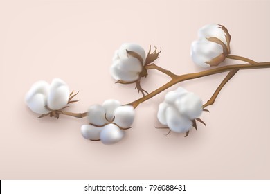 Beautiful photo realistic vector branch of cotton on a pink background. Perfect for wallpapers, web page backgrounds, surface textile