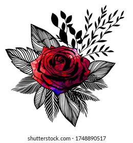 A beautiful picturesque rose with graphic black leaves. Vector illustration